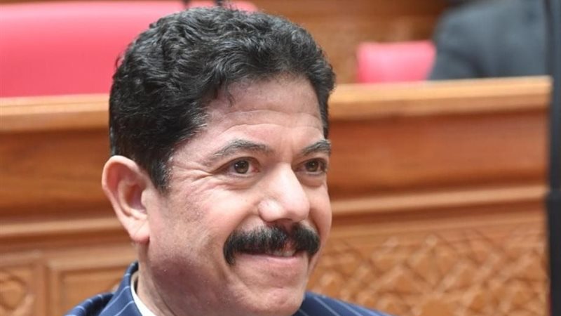 النائب علاء الحديوي