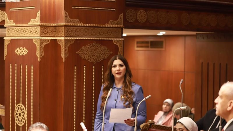 النائبة غادة البدوي 