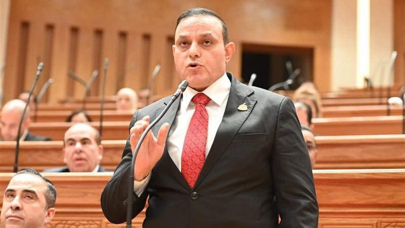 النائب مختار همام