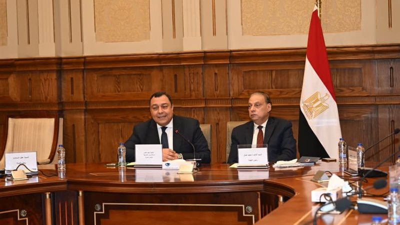 السفير إيهاب فهمي