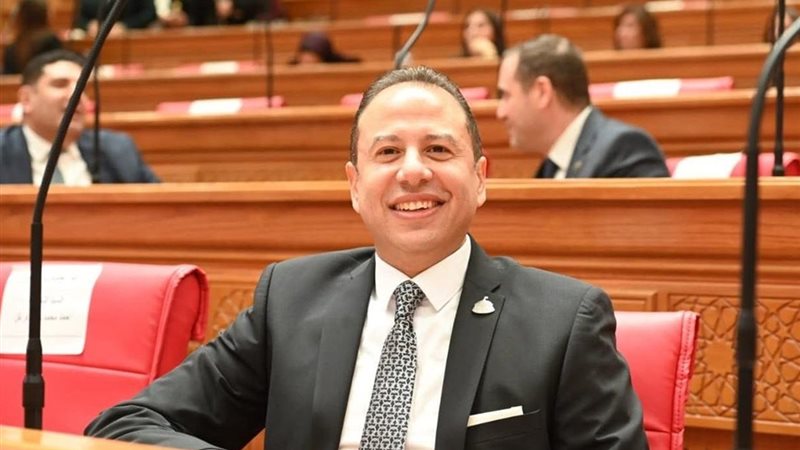 النائب حسن عمار