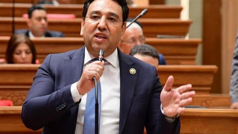 النائب أيمن محسب