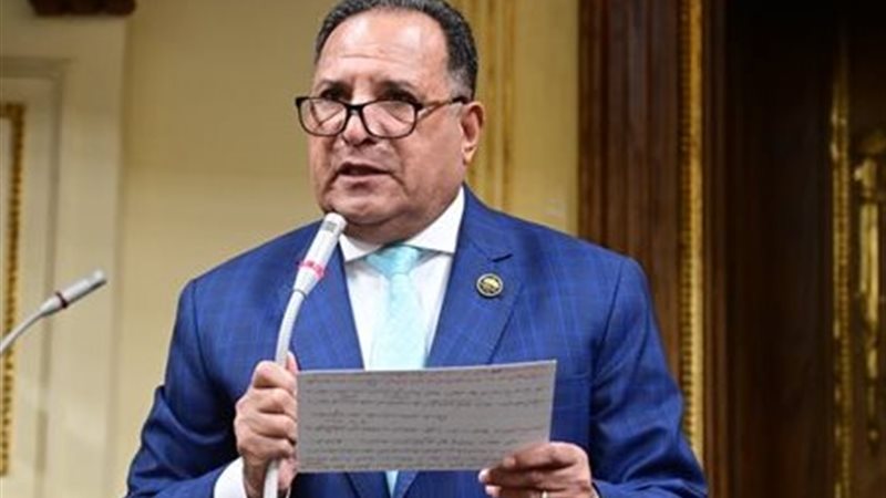 النائب محمد أبو هميلة