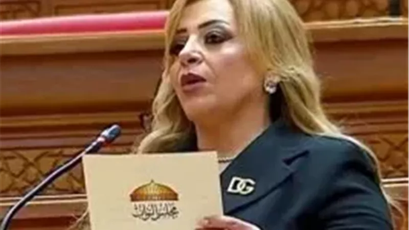 النائبة هبة غالي