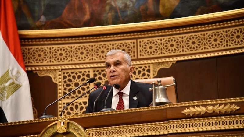 المستشار عصام الدين