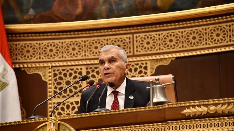 المستشار عصام الدين