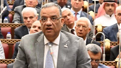 النائب محمود مسلم  