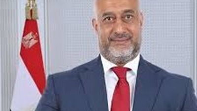 النائب حسام سعيد عبد الفتاح 