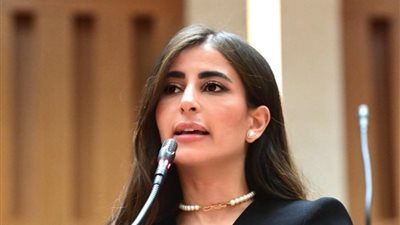 النائبة إيلاريا سمير حارص  