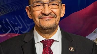 النائب حازم فاروق  