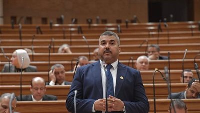 طلب برلماني لإنشاء محطة محولات جديدة بدار السلام في سوهاج