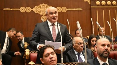 اقتراح برلماني بتفعيل نظام الوساطة الإلزامية قبل اللجوء إلى التقاضي 