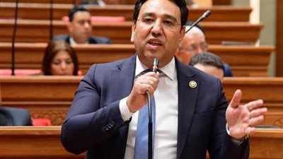 النائب أيمن محسب  