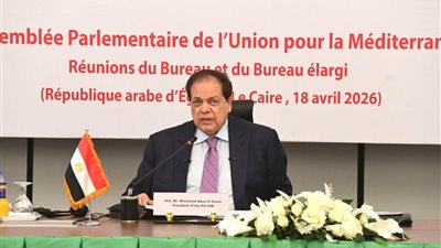 النائب محمد أبو العينين 