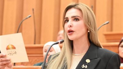 النائبة مروة حسين  