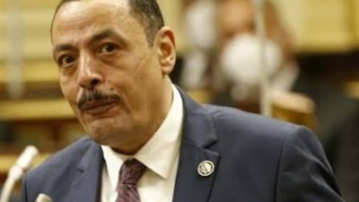 النائب أشرف أمين  