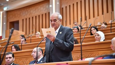 النائب المستشار عيد محجوب 