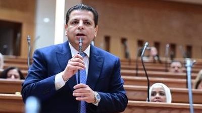 النائب محمود سامي الإمام 