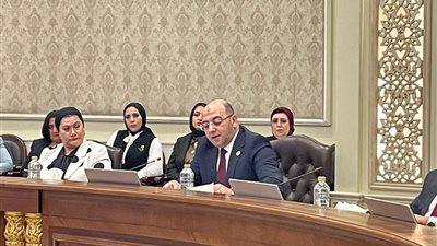 برئاسة العطيفي.. انطلاق برلمانية حماة الوطن لمناقشة قانون الأحوال الشخصية