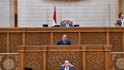  رئيس الوزراء بمجلس النواب  