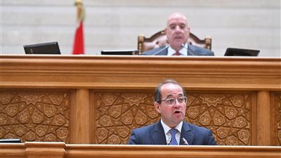 وزير المالية  