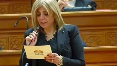 أميرة فؤاد: مقترح إدراج الإدمان ضمن أسباب الطلاق أسئ فهمه 