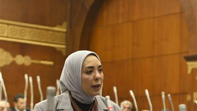 النائبة وفاء رشاد 