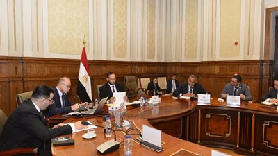 محمد حلاوة: سياسات الرئيس السيسي تدعم قوة مصر كدولة جاذبة للاستثمار 