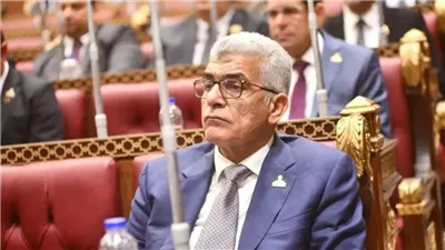 النائب محمد سلامة  