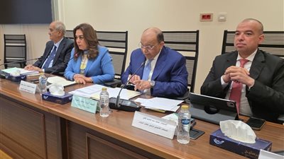 موافقة حكومية على مقترح تشكيل لجنة لإعداد مسودة مشروع قانون للمحليات