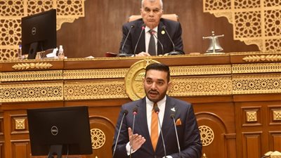 النائب نشأت حته 