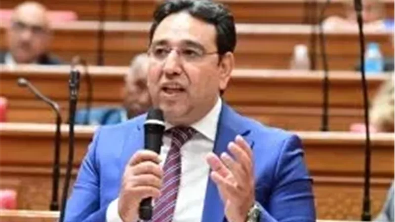 النائب أيمن محسب