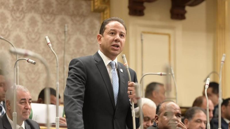 النائب حسن عمار 