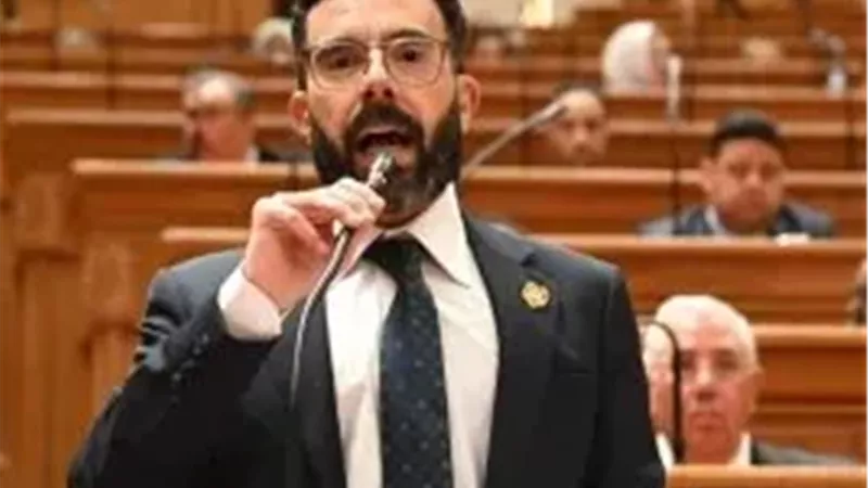 النائب إسلام قرطام