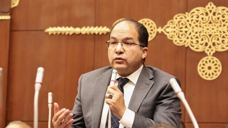 النائب عادل اللمعي