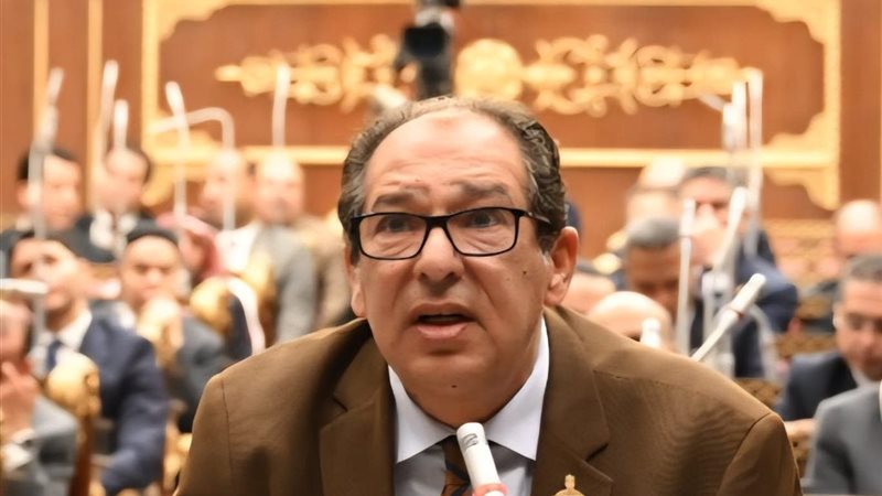  النائب حسام الخولي