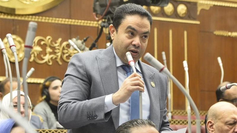 النائب إسماعيل الشرقاوي 