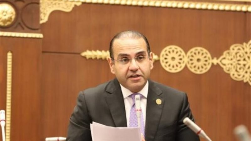 المهندس محمد المنزلاوي