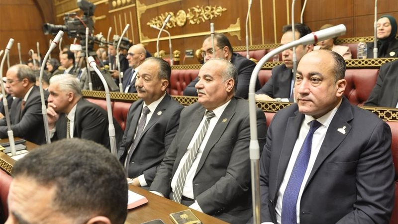  النائب محمد سليمان