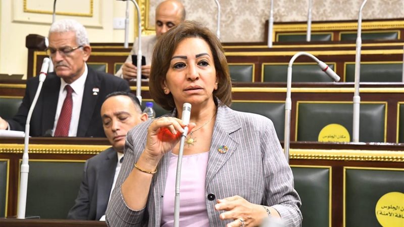 النائبة مها عبدالناصر،