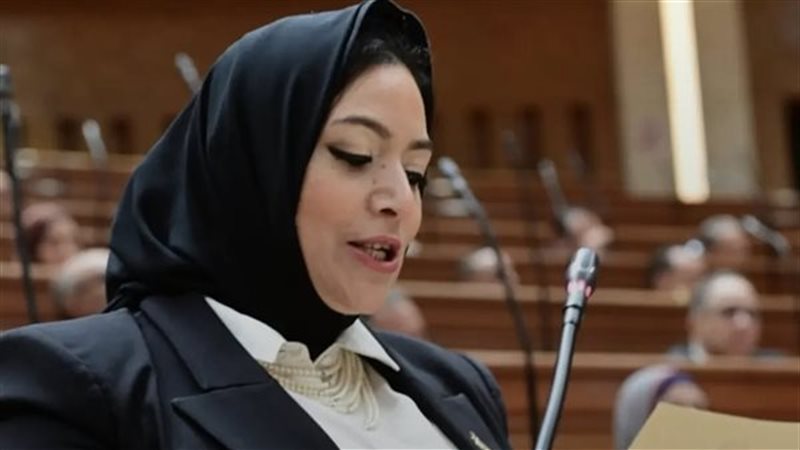 النائبة هبة نبيل