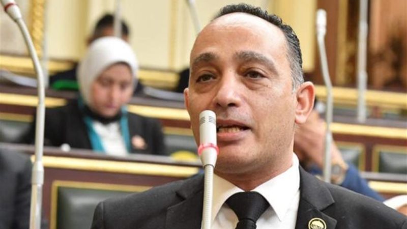 النائب فريد البياضي 