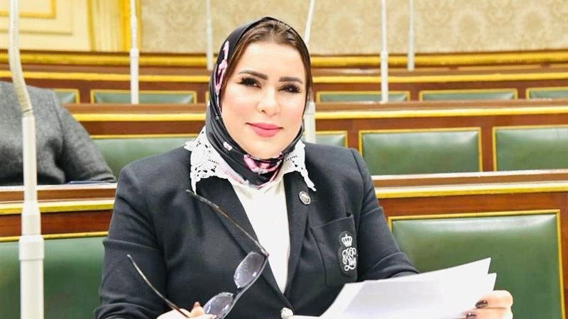 النائبة نيفين الكاتب