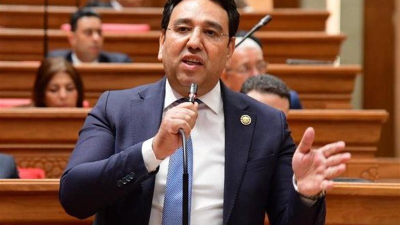 النائب أيمن محسب