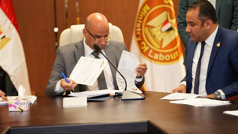 النائب أحمد علي ووزير