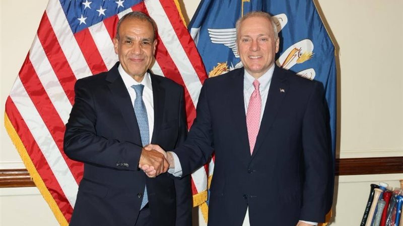 د. بدر عبد العاطي