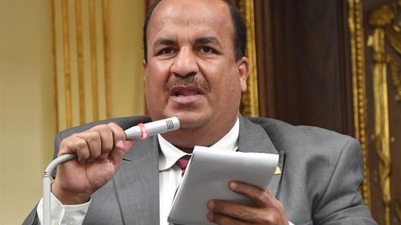  الدكتور محمد عبد