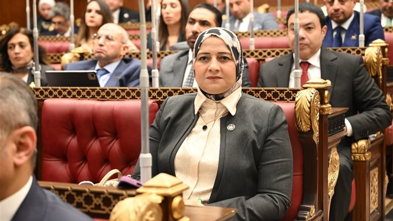 النائبة الدكتورة مروة قنصوة عضو مجلس الشيوخ