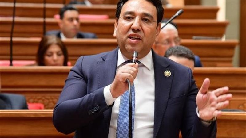 النائب أيمن محسب 