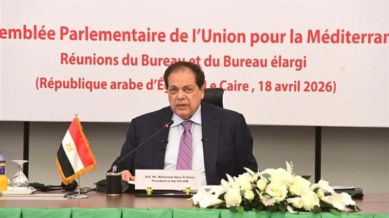 النائب محمد أبو العينين